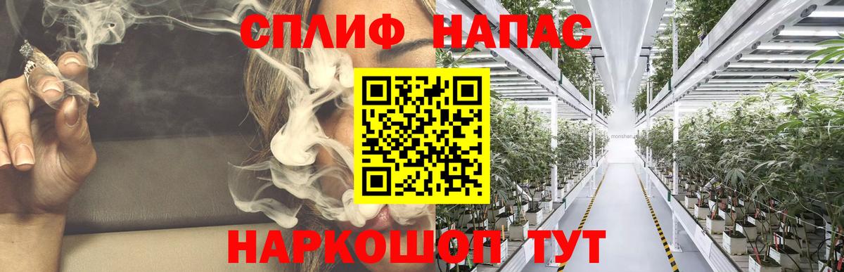 Бошки Шишки ГИДРОПОН Анжеро-Судженск